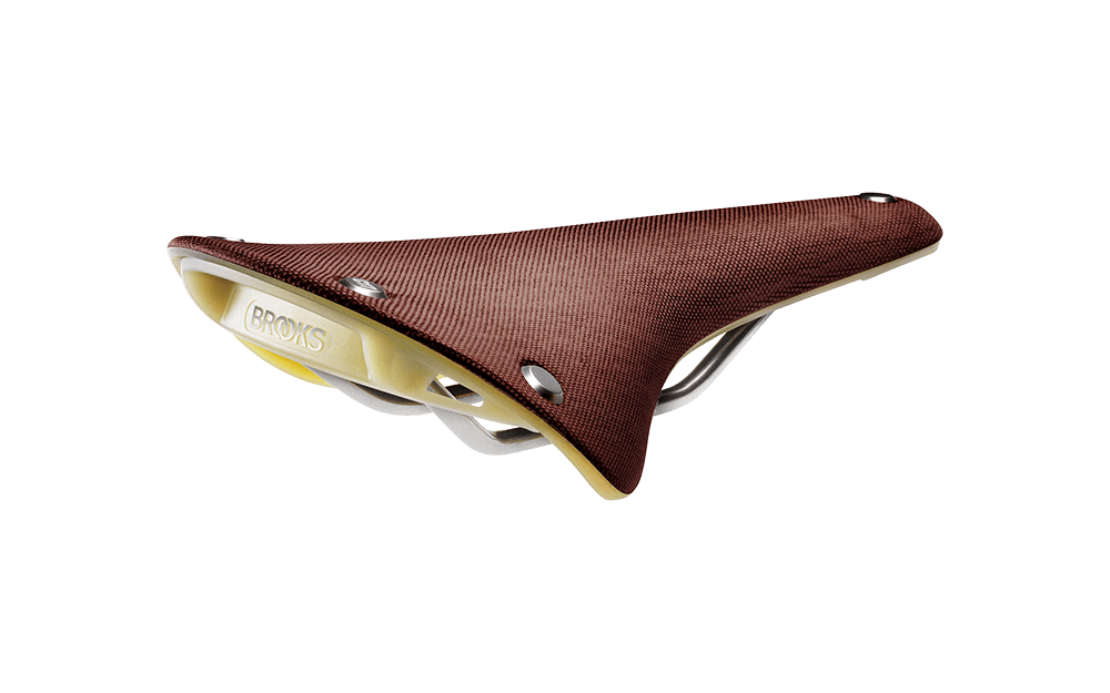 Brooks Cambium C17 Special