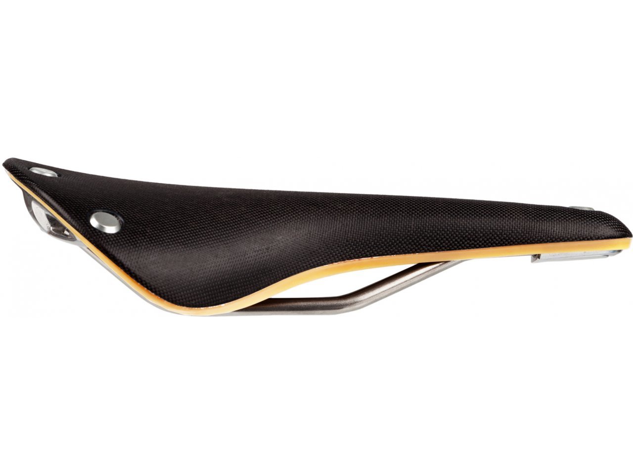 Brooks Cambium C17 Special