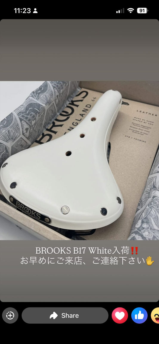 B17 Standard Ltd white