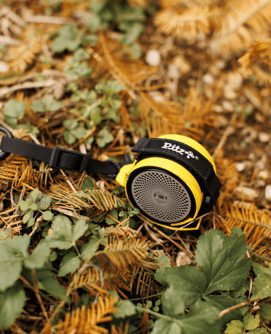 Pitz Mini Speaker