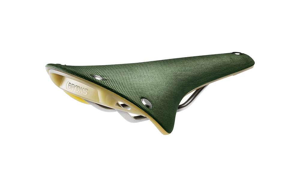 Brooks Cambium C17 Special